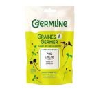 Graines à germer - Pois chiche